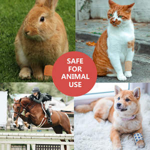 Bandage vétérinaire pour chevaux, accessoires vétérinaires - Product Image 3