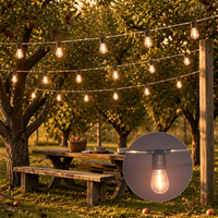 Guirlande lumineuse LED S14 à 20 ampoules, 10 m, fil en caoutchouc noir, pour extérieur, patio, jardin, marque privée