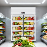 Congélateur vertical commercial à refroidissement direct par ventilateur, en acier inoxydable, avec 2 grandes portes vitrées et affichage numérique, pour compresseur