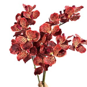 Nouvelle Arrivée - Grande Orchidée Artificielle à 7 Têtes, Fleurs Artificielles <span class=keywords><strong>Vanda</strong></span> au Toucher Réel pour la Décoration de la Maison et de Mariages - Product Image 1