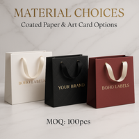 Sacs de vente au détail en papier couché de qualité supérieure Laminage brillant Poignée torsadée Style de luxe pour l'emballage de crème de rouge à lèvres personnalisé Utilisation pour les chaussures