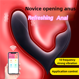 ปลั๊กซิลิโคนสำหรับทวารหนักเครื่องนวดต่อมลูกหมากสำหรับทวารหนักอุปกรณ์ทางเพศแบบสั่นได้10ระดับ - Product Image 3