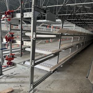 <span class=keywords><strong>Cage</strong></span> automatique à énergie solaire pour poules pondeuses pour ferme avicole Conception de <span class=keywords><strong>cage</strong></span> pour animaux à piles au Ghana - Product Image 4