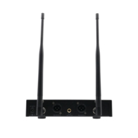 [Stock CN] Système de microphone sans fil professionnel UHF-3000RD Accuracy Pro Audio pour performances scéniques
