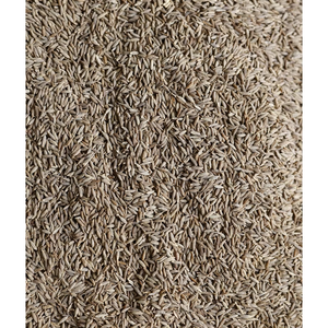 Compre semillas de comino con semillas de comino puras hechas naturalmente a granel para amartillar y usos multiusos por exportadores - Product Image 2
