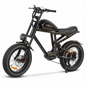 Xili Sports 48v 750w 19.2ah Vintage Style <strong>Chopper</strong> Ebike Urban Retro Electric Bike - Product Image 5