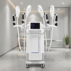 Máquina de Alivio del Dolor para Humanos <span class=keywords><strong>y</strong></span> Animales, con 4 Manijas, Terapia Magnética de Campo Electromagnético Pulsado (PEMF) - Product Image 1