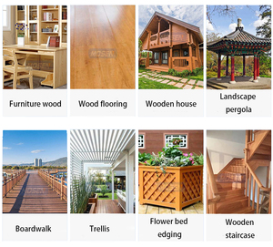 Xử lý gỗ công nghiệp Nồi hấp cho gỗ, tre & thủ công bảo quản - Product Image 4