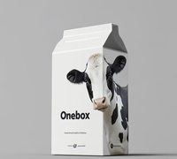 Boîte à lait personnalisée imprimée, emballage en carton recyclable pour boissons