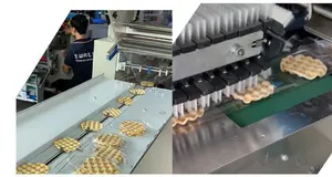 BG-450SZ 높은 생산성 수평 자동 초콜릿 바 포장 기계 에너지 바 포장 기계