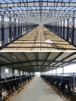 Bâtiment préfabriqué en structure d'acier, maison préfabriquée, hangar agricole, grange pour bétail, moutons, animaux d'élevage, écurie pour chevaux