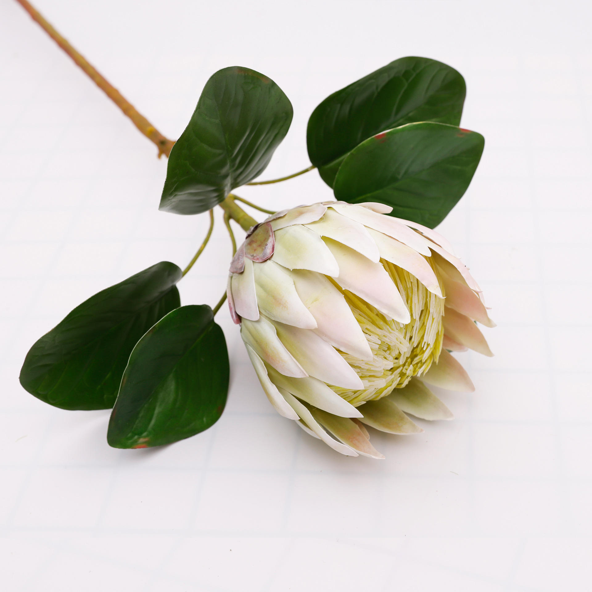 สไตล์1-สีขาว