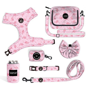 Neueste beliebte Halsband leine für Hunde geschirr passende Mode tasche Outdoor Walking <span class=keywords><strong>Pet</strong></span> mit Dosen kühler - Product Image 1