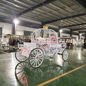 Chariot de Mariée Élégant Thème Cendrillon Chariot Citrouille Électrique pour Entrée de la Mariée à Vendre - Product Image 3