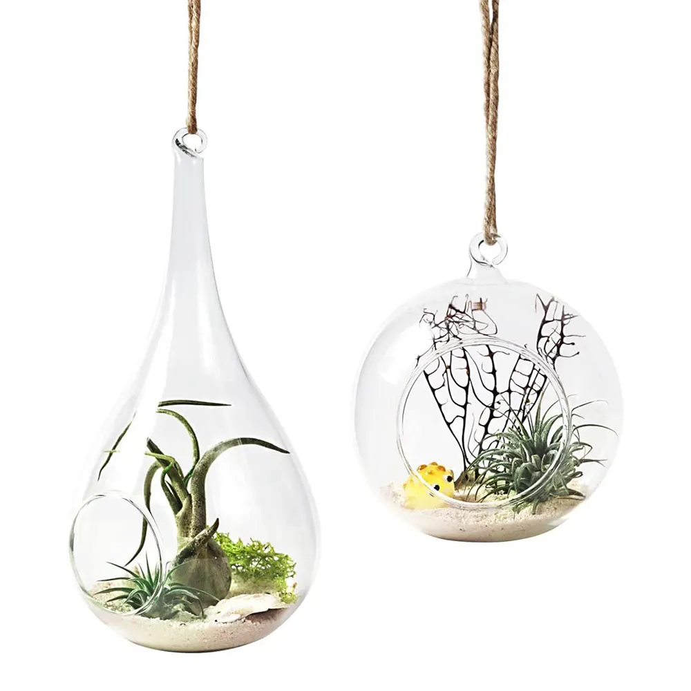Support Suspendu Pour Terrarium - Fer Blanc 23x10cm - Déco Plante Air Ou Bougie