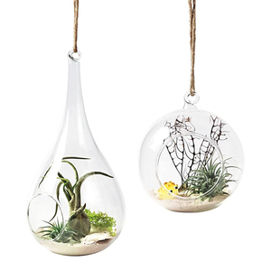 Plante suspendue en verre, support pour fougère aérienne, terrarium, vase suspendu, décoration de Noël pour <span class=keywords><strong>la</strong></span> maison, idée cadeau, écologique - Product Image 4