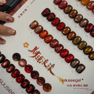 Set de 26 Colores de Esmalte de Uñas en Gel Efecto Ojo de Gato Rojo, Gel Magnético Otoño-Invierno con Tabla de Exhibición para Salón - Product Image 2