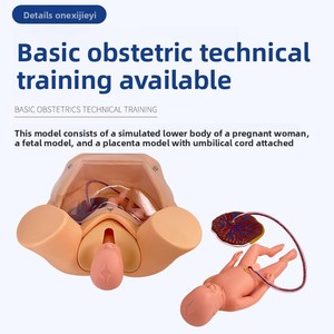 Nâng Cao Toàn Diện Đào Tạo Kỹ Năng Sinh Con Mô Hình Cho Phụ Nữ Mang Thai Nữ Tự Nhiên Sinh Mô Phỏng PVC Mô Hình Giải Phẫu - Product Image 2