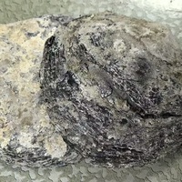 Cabochon en nacre noire naturelle calibrée à dos plat, facettée, taille poire, motif damier, pierres précieuses en vrac, IRIDESCENCE