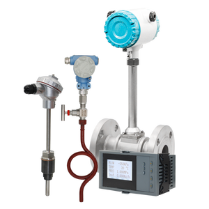 Compteurs de débit à <span class=keywords><strong>vortex</strong></span> avec câble de 10 m pour la vapeur - Product Image 5