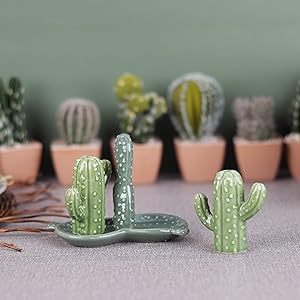 Adorable salière et poivrière en forme de <span class=keywords><strong>cactus</strong></span> vert avec plateau ustensiles de cuisine pour la maison et la décoration de table de cuisine - Product Image 5