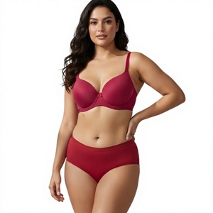 Soutien-gorge sans couture rembourré, doux et extensible, sans armatures, confort quotidien, soutien-gorge invisible pour t-shirt, fabricant en gros - Product Image 1