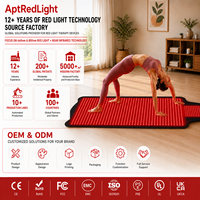 Tapis de luminothérapie LED rouge 2570 pour usage domestique, couverture de luminothérapie infrarouge pour le corps entier, tapis de sauna à lumière rouge pour la santé