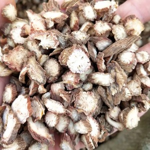 <strong>Red</strong> <strong>Sage</strong> Chinese Dried Salvia Miltiorrhiza Tea <strong>Root</strong> Cut Redroot <strong>Sage</strong> Dan Shen Herb Custom Blend/Pouch/<strong>Extract</strong>/Grind/Bags/Powder - Product Image 3