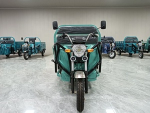 Triciclo EEC de Servicio Pesado de 1500W, Tres Ruedas, Carrocería Abierta, Alta Capacidad de Carga - Product Image 1