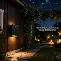 Lampes murales solaires d'extérieur IP44 étanches en aluminium, éclairage décoratif de jardin à LED avec garantie de 2 ans pour la maison, la terrasse et les allées