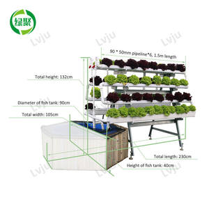 Système de Culture Aquaponique : Bassins <span class=keywords><strong>pour</strong></span> Fermes Piscicoles, <span class=keywords><strong>Serre</strong></span> Hydroponique, Aquarium <span class=keywords><strong>pour</strong></span> Poissons et Légumes - Product Image 6