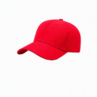 Gorra de Béisbol con Logotipo Personalizable, para Hombre y Mujer, Gorra Casual de Visera Curva para Turismo, Sombrero para el Sol para Voluntarios
