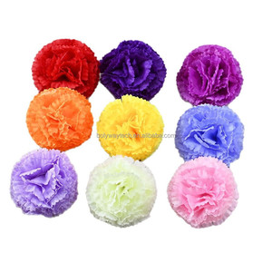 DIY macetas de flores artificiales bombillas <span class=keywords><strong>semillas</strong></span> Clavel flores cabeza flores decorativas y coronas decoración del banquete de boda al por mayor 2025 - Product Image 5