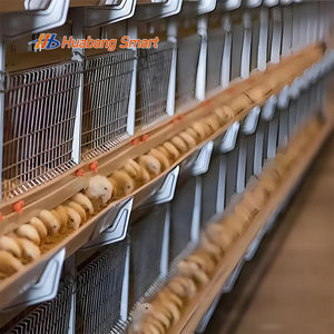 Gabbie per Polli da Carne Commerciali, Moduli per Gabbie Avicole, Sistema di Gabbie per Polli da Carne Completamente Automatico per Uso su Larga Scala - Product Image 6