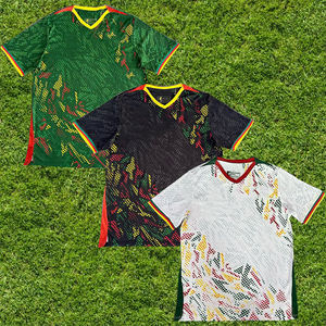 Camiseta de Camerún 2025, Camiseta de Fútbol Masculina de la Selección Nacional, Versión Jugador/Aficionado de la Copa Africana de Naciones, Camiseta de Fútbol de Camerún - Product Image 1