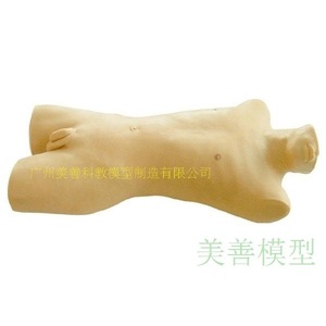 Modèle d'entraînement à l'aspiration de la moelle osseuse ; entraînement à la ponction de la colonne vertébrale iliaque supérieure antérieure ; entraînement à la ponction du manubrium sternale ; ponction de - Product Image 1