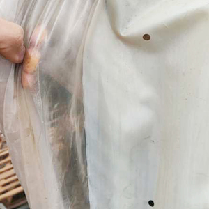Bâche de protection PE sur mesure, imperméable et anti-vieillissement, pour vignobles et vergers - Product Image 6
