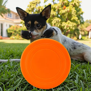 犬と猫のための環境に優しいソフトTPR 5cmフライングディスク玩具-トレーニングのための屋外水上スポーツ玩具 - Product Image 1