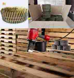 Clous hélicoïdaux en rouleau pour palette/bobine - Product Image 4