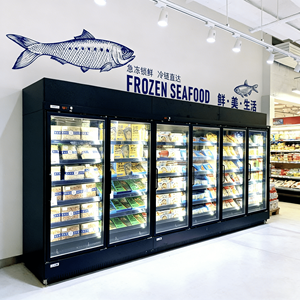 Vetrina Refrigerata con Porta in Vetro, Congelatore Verticale per Alimenti Surgelati, Armadio Commerciale per Mantenimento Freschezza in Supermercati - Product Image 1