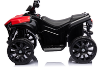 Voiture à pédales électrique Welldone WDXB-8118 unisexe à 4 roues en PP pour enfants de 5 à 7 ans, moteur 25W*1, batterie 6V4.5AH, haute qualité
