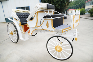 Voiturette électrique classique et sécurisée pour 4-6 passagers, idéale pour les excursions familiales et les visites de parcs - Product Image 4