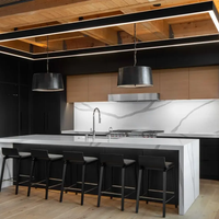 Conception d'intérieur 3D personnalisée en usine pour cuisine moderne, armoires de maison entières, solutions complètes en bois massif pour la maison