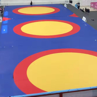 Tapis de lutte 10m X 10m en mousse XPE avec revêtement en PVC pour MMA, boxe, judo, BJJ