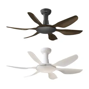 Modern Simple Decorative Low Noise Ceiling Fan Plastic Canopy 6 Blades Suspended Led Fan