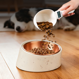 Gamelle ergonomique inclinée et surélevée pour chiens, motif uni, taille M, avec base antidérapante, favorise la digestion, en mélamine durable - Product Image 1