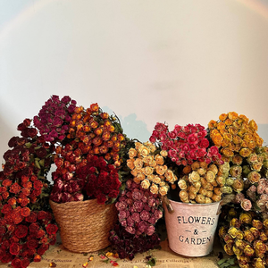Tiges de roses séchées naturelles à tête unique, vente en gros, pour bouquets de mariage vintage rustiques, décoration intérieure, arrangements en résine et projets DIY - Product Image 2
