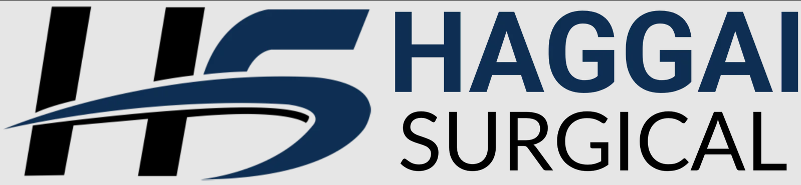 HAGGAI SURGICAL INTERNATIONAL logo