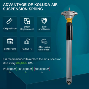 Auto Veersystemen Achter Auto Schokdempers Voor Porsche Panamera 970 97033316104 97033316106 - Product Image 6