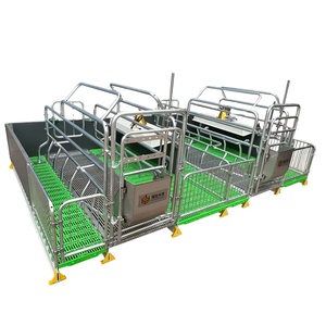Gabbia di gestazione in acciaio zincato con pavimento in ghisa, nuova condizione, per allevamento suini, letto per scrofe, uso agricolo - Product Image 6